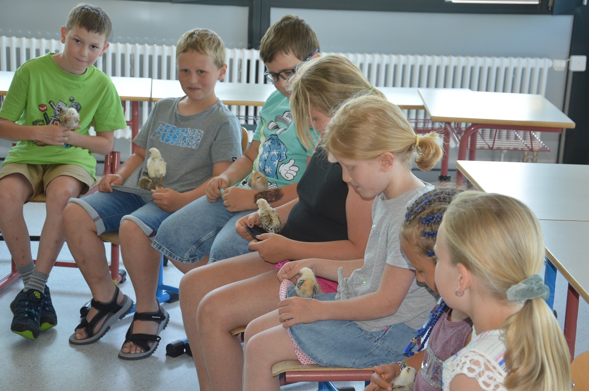 Besuch_von_Frau_Spanke_Kücken_2023_016__01.jpg